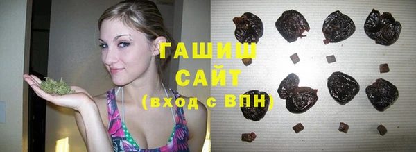 стаф Сясьстрой