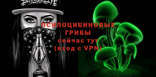 стаф Сясьстрой