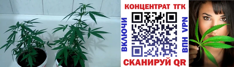 Дистиллят ТГК концентрат  Купить где  Заозёрск 